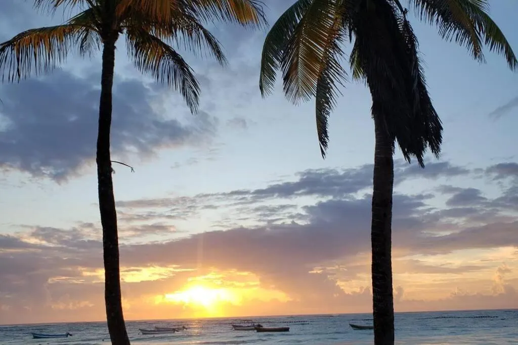Loft Izel Sleeps 4 With Beach Club Access, Close To La Veleta Tulum 0*,