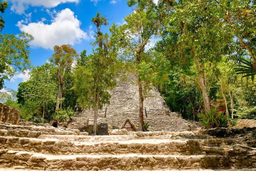 Loft Izel Sleeps 4 With Beach Club Access, Close To La Veleta Tulum Apartment